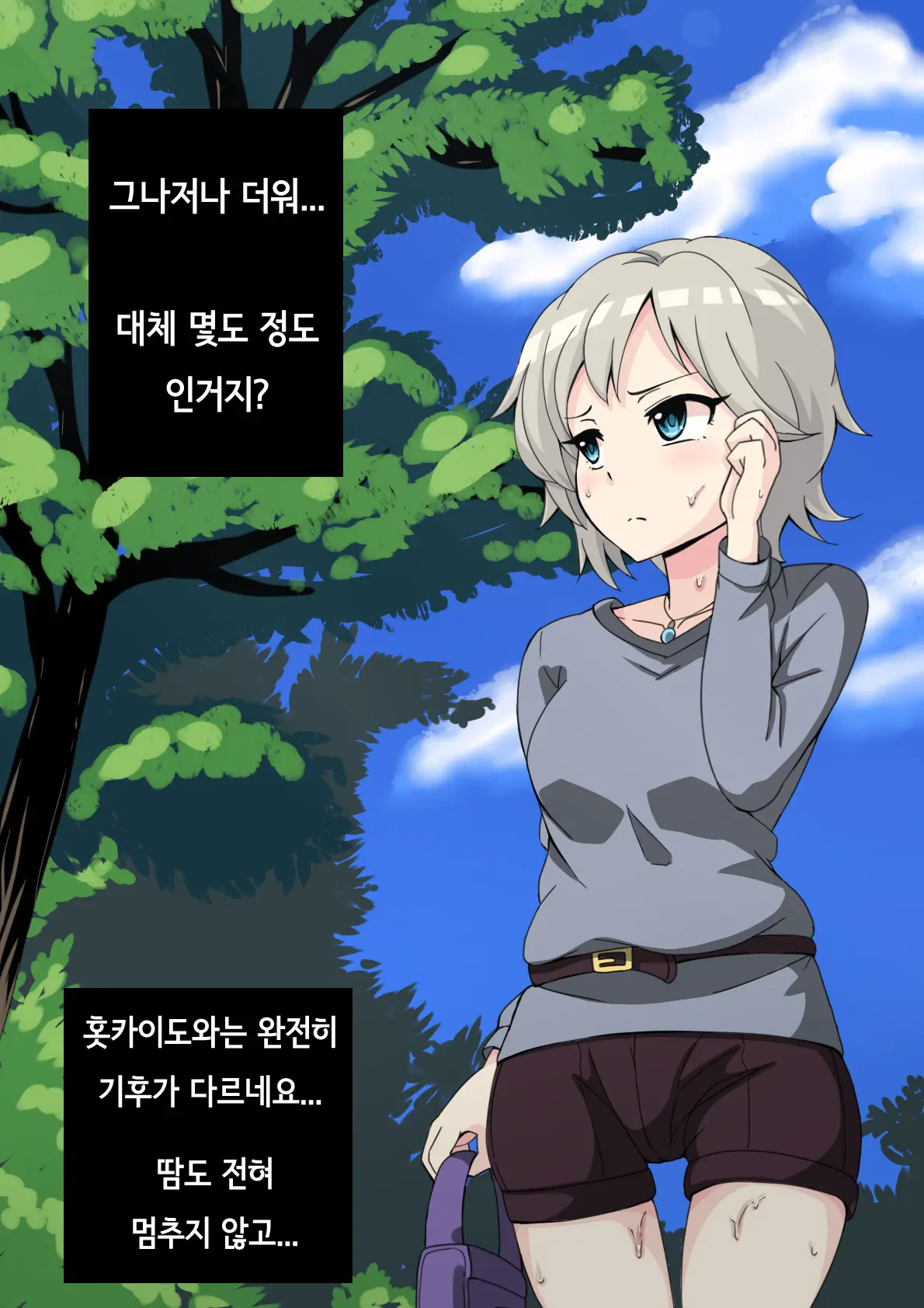 Fallen Cinderella ~Half Idol Buzokuka Choukyou~ | Fallen Cinderella 혼혈 아이돌 부족화 조교~